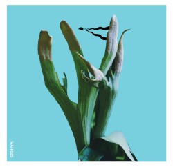 Bi-Monthly Subscription Series 02