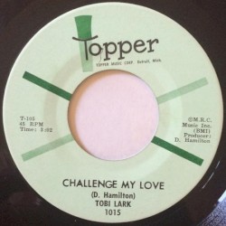 Sweep It Out in the Shed