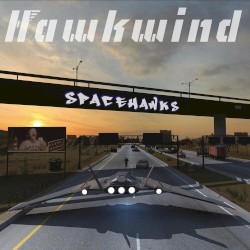 Spacehawks