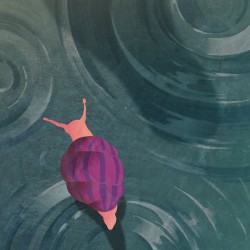 A Slow Pace