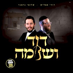 Dovid V'Shloime