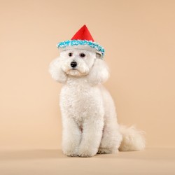 Mookies Last Christmas (acoustic 2020)