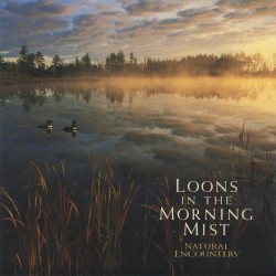 Natural Encounters: Loons In the Morning Mist