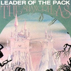 The Leader of the Pack