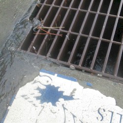 Transit Center Storm Drains