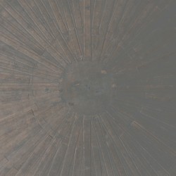 Selva oscura