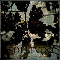 Immerso in un bosco di querce