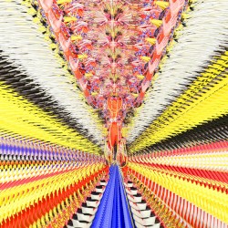 What Is the Reason for It?