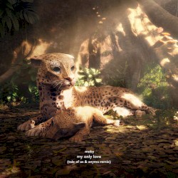 My Only Love (Tale of Us & Anyma remix)