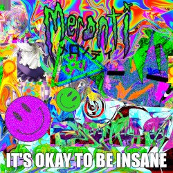 IT'S OKAY TO BE INSANE