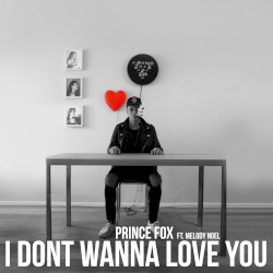 I Don’t Wanna Love You
