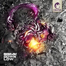Break Down Low