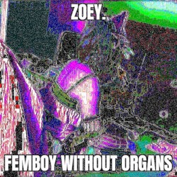 zoey./Femboy Without Organs
