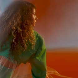 You Let Me Down: The Remixes