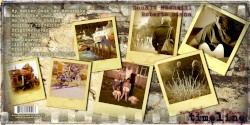Timeline