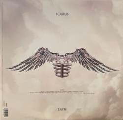 Icarus Falls