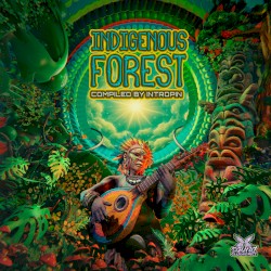 Indigenous Forest