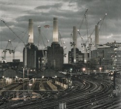 Animals (2018 remix)