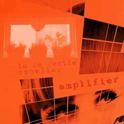 Amplifier