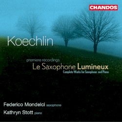 Le Saxophone lumineux