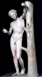 cartella8