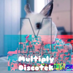 Multiply Discotek