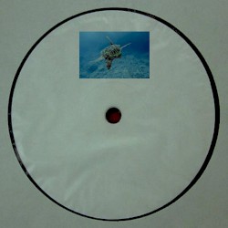 Sea turtle migration
