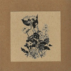 An Understanding Between People