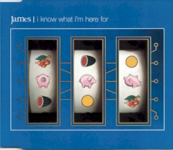 I Know What I’m Here For