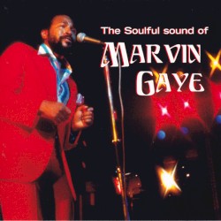The Soulful Sound of Marvin Gaye