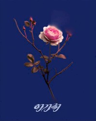 아가씨