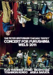 Concert for Fukushima Wels 2011