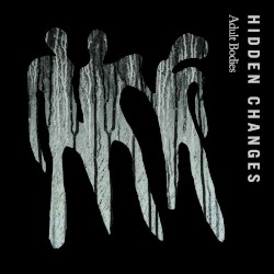 Hidden Changes
