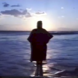 ビュースターデータベース