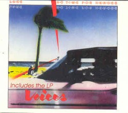 No Time for Heroes / Voices