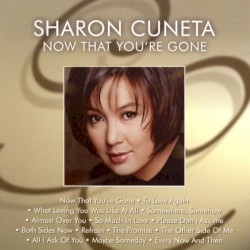 Now That You're Gone