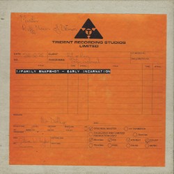 Family Snapshot (early incarnation)