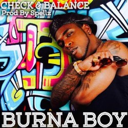 Check and Balance