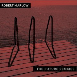 The Future Remixes