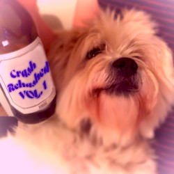 CRASH REHASHED VOL. 1