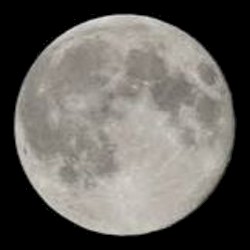 daylight / neverland (boyfifty)