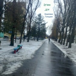 Комплекс Гольджи