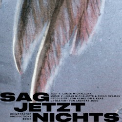 SAG JETZT NICHTS (Single Version)