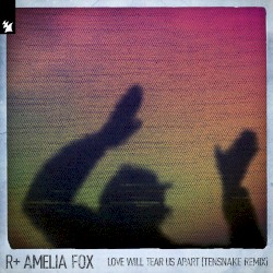 Love Will Tear Us Apart (Tensnake remix)