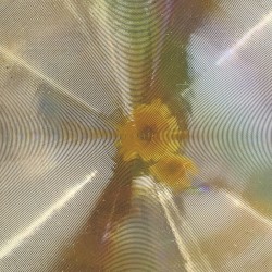 Homage to Daylight