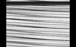 Cognitive Dissonance