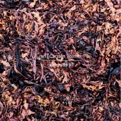 organoids #1