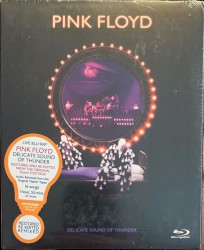 Delicate Sound of Thunder