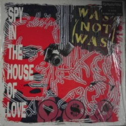 Spy in the House of Love