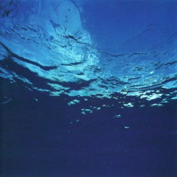 Marine Flowers (Science Fantasy)